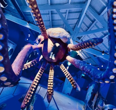 FLAMENCOS ECOPARQUE PARQUE